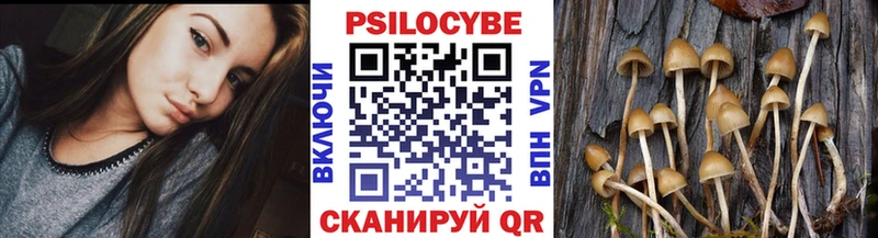 Купить закладки  Приволжск  Псилоцибиновые грибы GOLDEN TEACHER 